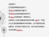 人教版高中思想政治选择性必修3第三单元第十课第二框体会认识发展的历程课件