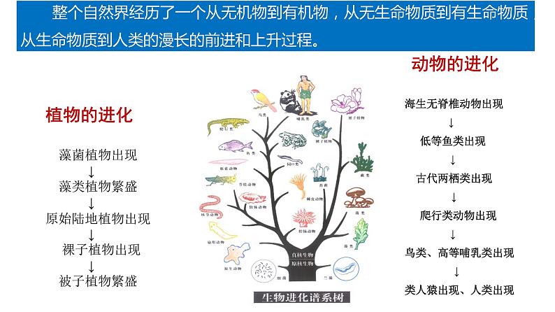 3.2世界是永恒发展的（上）-高中政治统编版必修四《哲学与文化》课件PPT第6页