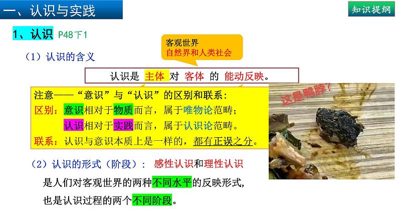 4.1人的认识从何而来(上)-高中政治统编版必修四《哲学与文化》课件PPT06