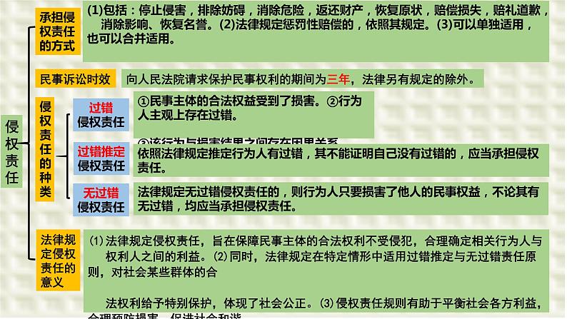 第四课 侵权责任与权利界限 课件-2024届高考政治一轮复习统编版选择性必修二法律与生活第2页