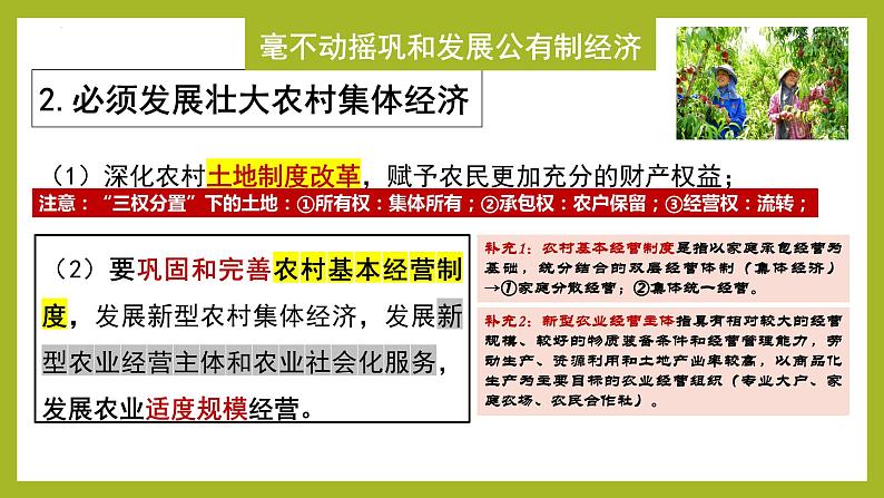 1.2坚持“两个毫不动摇”课件-2023-2024学年高一政治上册（统编版必修2）第6页