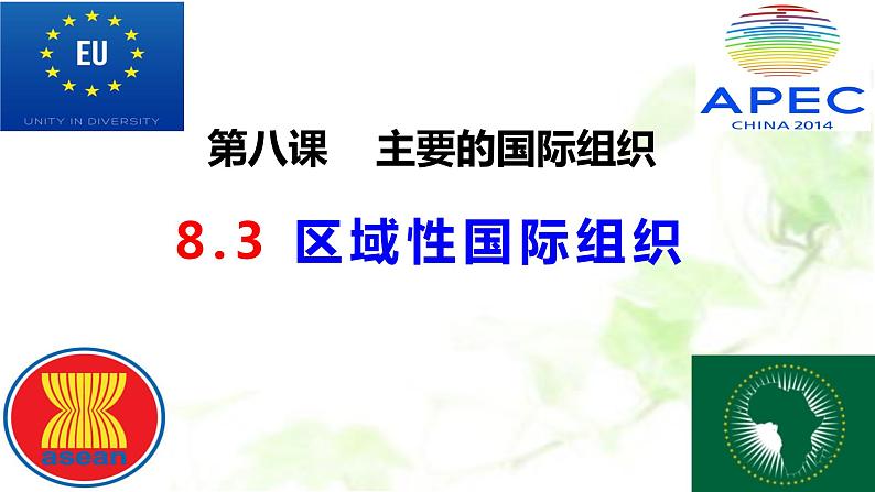 8.3 区域性国际组织 课件-2023-2024学年高中政治统编版选择性必修一当代国际政治与经济 (2)01