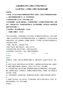 2024朔州怀仁九中高中部高三上学期11月期中政治试题含解析