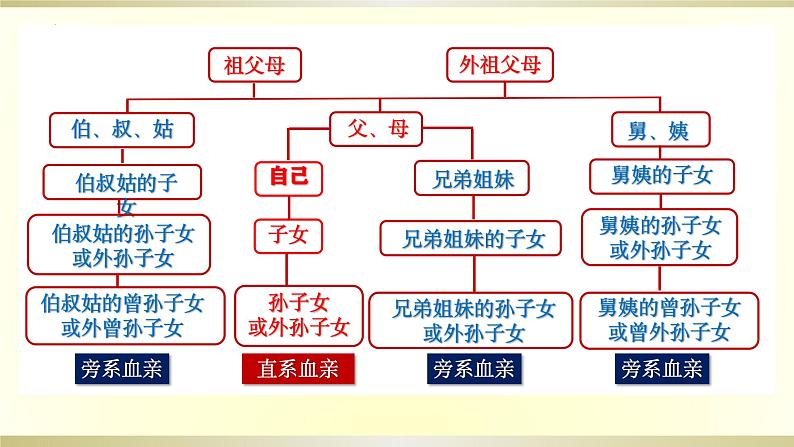 第六课 珍惜婚姻关系 课件-2024届高考政治一轮复习统编版选择性必修二法律与生活第7页