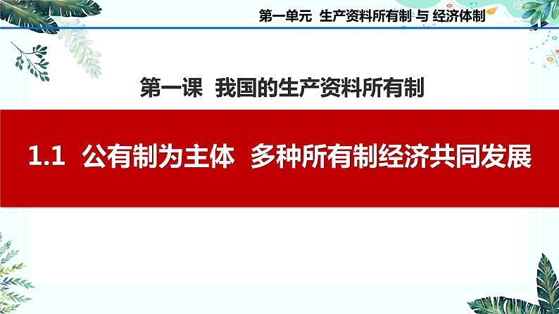 1.1  公有制为主体  多种所有制经济共同发展 课件-2023-2024学年高中政治统编版必修二经济与社会01
