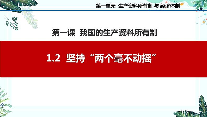 1.2  坚持“两个毫不动摇” 课件-2023-2024学年高中政治统编版必修二经济与社会01