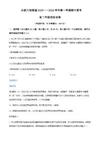 2023-2024学年安徽省合肥市六校联盟高二上学期期中联考政治试题含解析