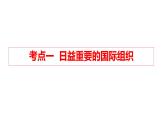 第八课 主要的国际组织 课件-2024届高考政治一轮复习统编版选择性必修一当代国际政治与经济