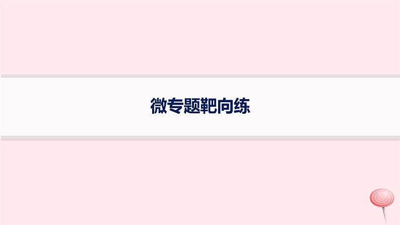 适用于新高考新教材2024版高考政治二轮复习微专题靶向练课件第1页