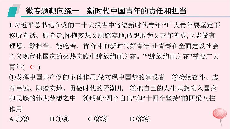 适用于新高考新教材2024版高考政治二轮复习微专题靶向练课件第2页