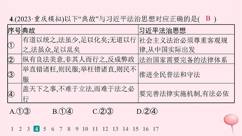 适用于新高考新教材2024版高考政治二轮复习专题突破练6全面依法治国课件第8页