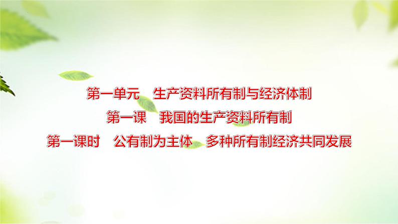 1.1公有制为主体多种所有制经济共同发展课件-2023-2024学年高中政治统编版必修二经济与社会第1页