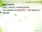 1.1公有制为主体多种所有制经济共同发展课件-2023-2024学年高中政治统编版必修二经济与社会