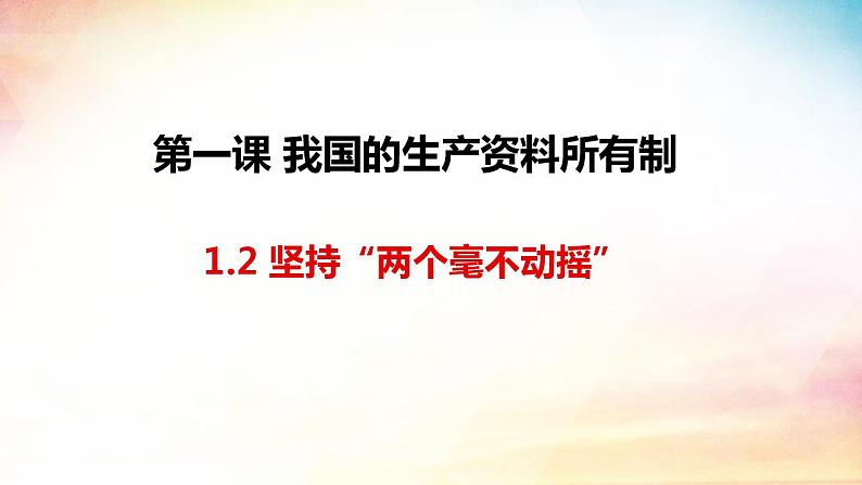 1.2 坚持“两个毫不动摇” 课件-2023-2024学年高中政治统编版必修二经济与社会 (1)第2页