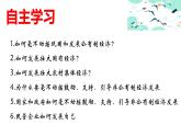 1.2坚持“两个毫不动摇”课件-2023-2024学年高中政治统编版必修二经济与社会 (1)