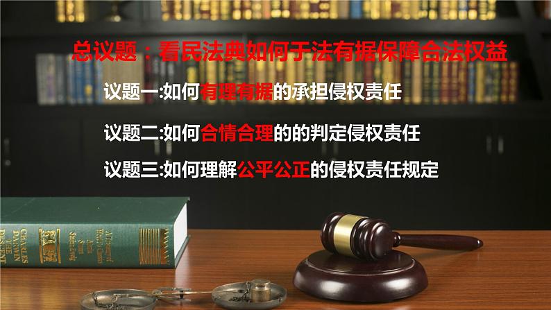 4.1权利保障 于法有据 课件-2022-2023学年高中政治统编版选择性必修二法律与生活03