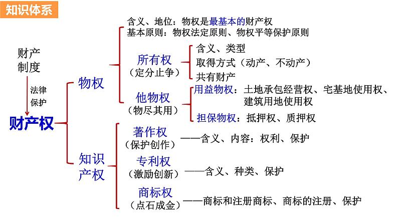 第二课 依法有效保护财产权课件-2024届高考政治一轮复习统编版选择性必修二法律与生活第3页