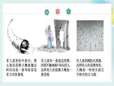 1.2思维形态及其特征高二政治同步备课精品课件（统编版选择性必修3）