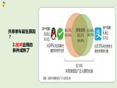 高中政治必修二《综合探究一完善社会主义市场经济体制》ppt课件-人教部编版