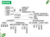 第四单元  国际组织课件（期末复习）-2023-2024学年高二政治上学期（统编版选择性必修1）