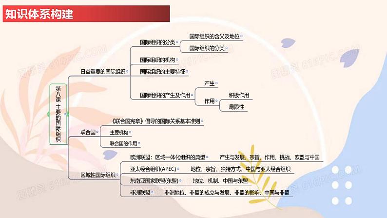 第八课 主要的国际组织-2024年高考政治一轮复习课件（统编版选择性必修1、2、3）03