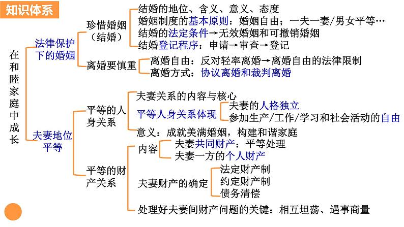 第六课 珍惜婚姻关系 课件-2024届高考政治一轮复习统编版选择性必修二法律与生活03