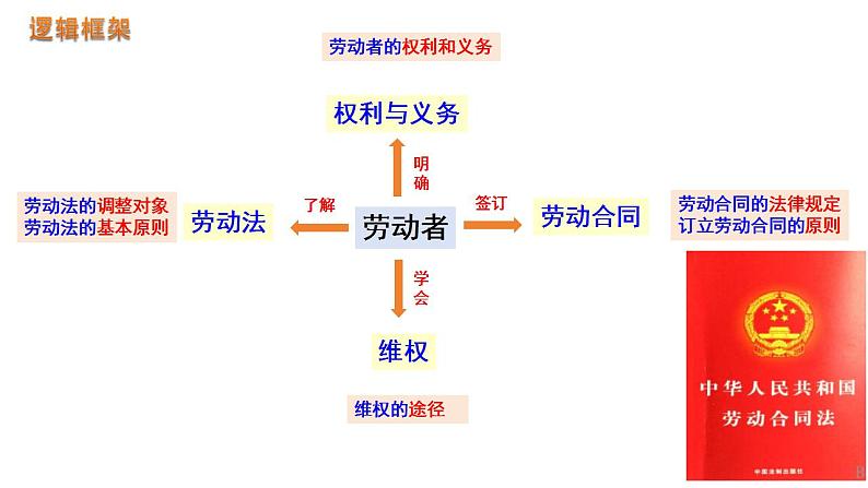 第七课 做个明白的劳动者 课件-2024届高考政治一轮复习统编版选择性必修二法律与生活 (1)第4页