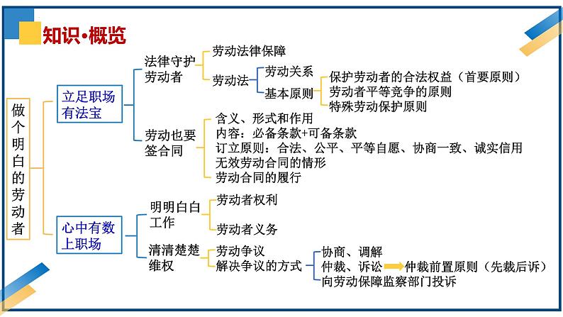 第七课做个明白的劳动者2024年高考政治一轮复习课件（统编版选择性必修1、2、3）08