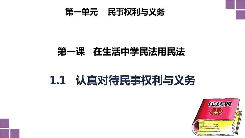 1.1认真对待民事权利与义务课件-2023-2024学年高中政治统编版选择性必修二法律与生活 (1)第4页