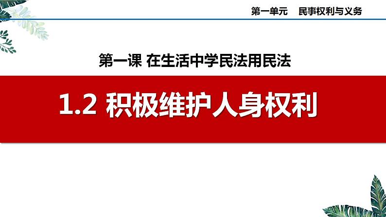 1.2 积极维护人身权利 课件-2023-2024学年高中政治统编版选择性必修二法律与生活 (1)第2页