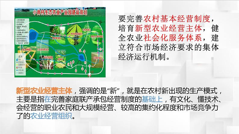 1.2 坚持“两个毫不动摇” 课件-2023-2024学年高中政治统编版必修二经济与社会 (1)第8页