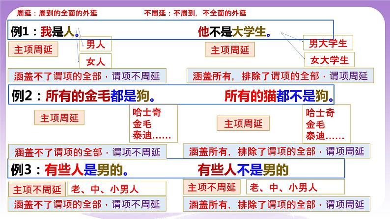 6.2《简单判断的演绎推理方法》课件 统编版高中政治选修三08