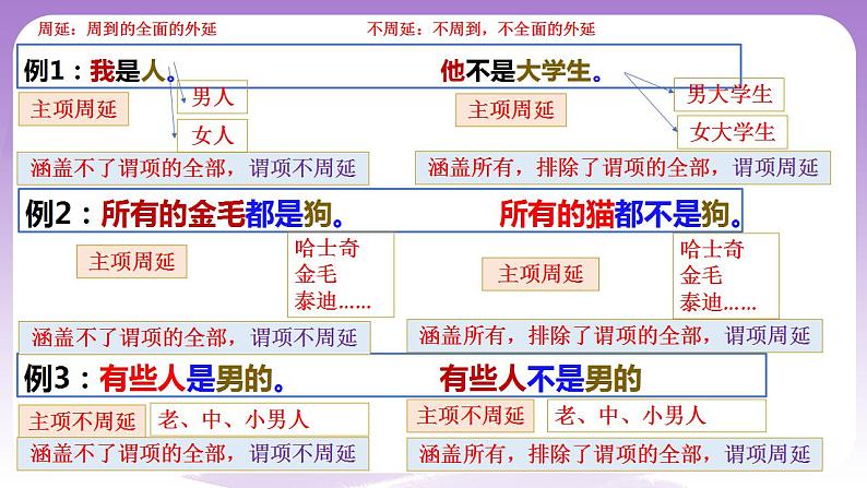 6.2《简单判断的演绎推理方法》课件 统编版高中政治选修三第8页