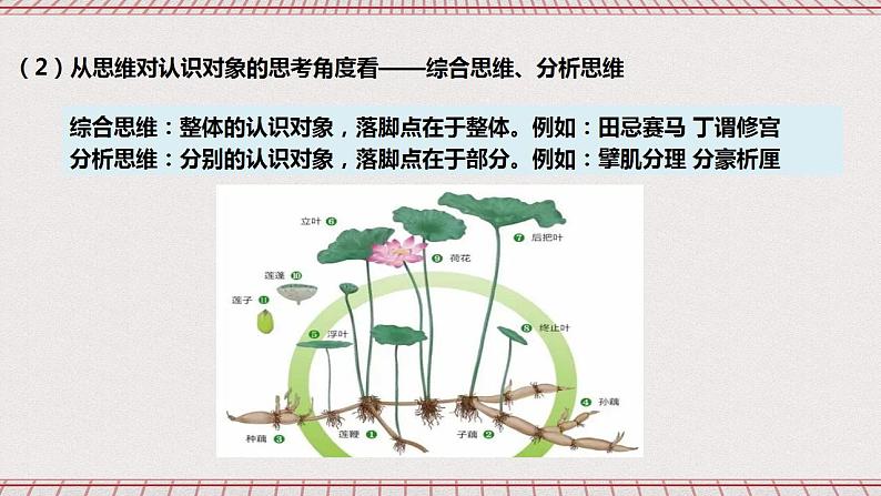 统编版高中政治选修三 1.2《思维形态及其特征》课件04