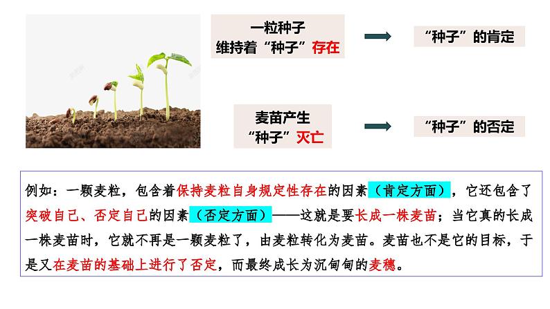 10.1 不作简单肯定或否定（课件） 高中政治选择性必修3 逻辑与思维 统编版08