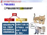 9.2 严格执法 课件-2023-2024学年高中政治统编版必修三政治与法治