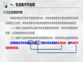 3.1 订立合同学问大 课件-2023-2024学年高中政治统编版选择性必修二法律与生活