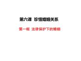 6.1 法律保護(hù)下的婚姻 課件-2023-2024學(xué)年高中政治統(tǒng)編版選擇性必修二法律與生活