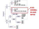 6.1法律保護(hù)下的婚姻課件-2023-2024學(xué)年高中政治統(tǒng)編版選擇性必修二法律與生活