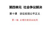 10.1正確行使訴訟權(quán)利 課件-2023-2024學(xué)年高中政治統(tǒng)編版選擇性必修二法律與生活