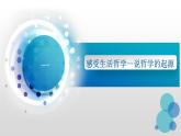 1.1 追求智慧的学问 课件-2023-2024学年高中政治统编版必修四哲学与文化