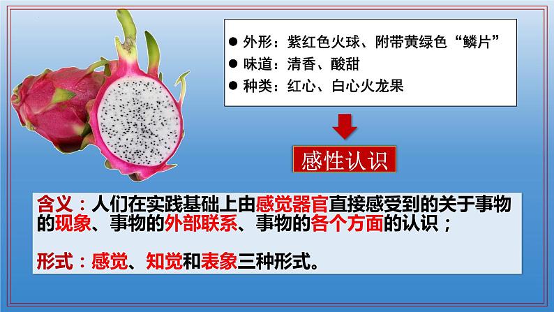 4.1人的认识从何而来课件-2023-2024学年高中政治统编版必修四哲学与文化03