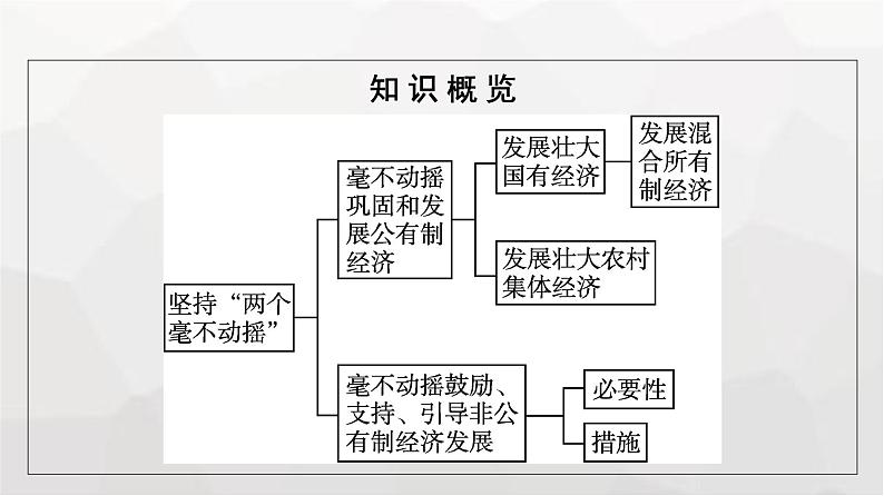 人教版（浙江专用）高中思想政治必修2经济与社会第1课第2框坚持“两个毫不动摇”课件05