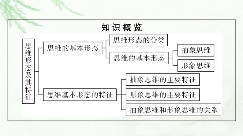 人教版（浙江专用）高中思想政治选择性必修3逻辑与思维第1单元第1课走进思维世界第2框思维形态及其特征课件05