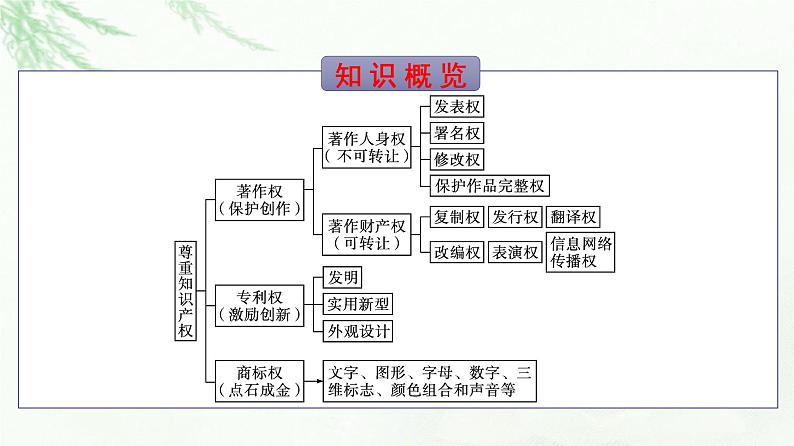 人教版（浙江专用）高中思想政治选择性必修2法律与生活第1单元第2课第2框尊重知识产权课件第5页