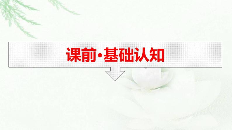 人教版（浙江专用）高中思想政治选择性必修2法律与生活第1单元第4课第1框权利保障于法有据课件第6页