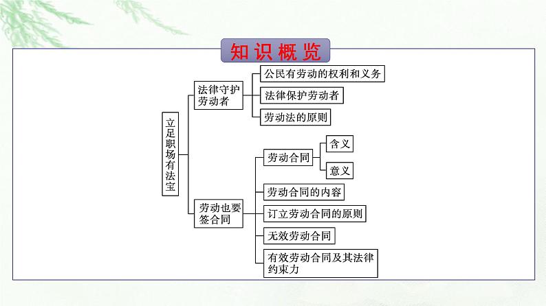 人教版（浙江专用）高中思想政治选择性必修2法律与生活第3单元第7课第1框立足职场有法宝课件05