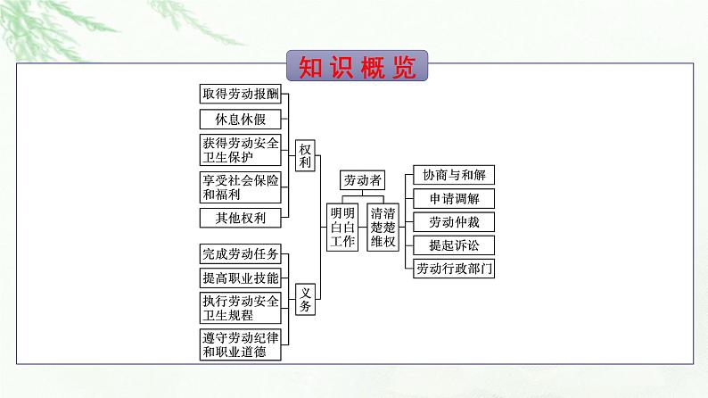 人教版（浙江专用）高中思想政治选择性必修2法律与生活第3单元第7课第2框心中有数上职场课件05