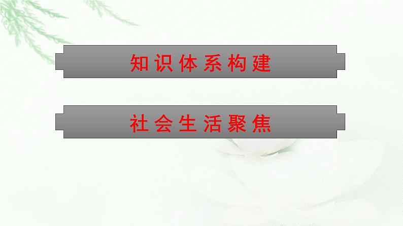 人教版（浙江专用）高中思想政治选择性必修2法律与生活第2单元核心素养整合课件02