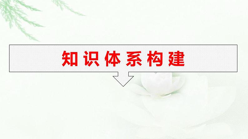 人教版（浙江专用）高中思想政治选择性必修2法律与生活第2单元核心素养整合课件03